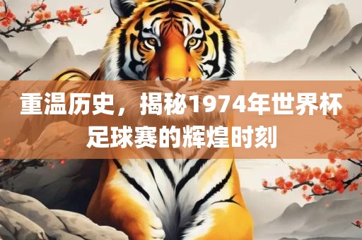 重温历史，揭秘1974年世界杯足球赛的辉煌时刻洛阳市法福文化传播有限公司