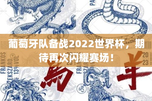 葡萄牙队备战2022世界杯，期待再次闪耀赛场！