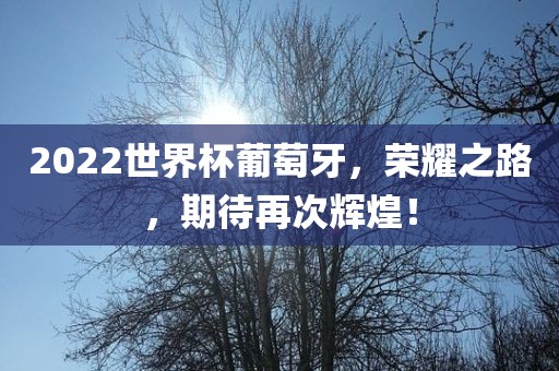 2022世界杯葡萄牙，荣洛阳市法福文化传播有限公司耀之路，期待再次辉煌！