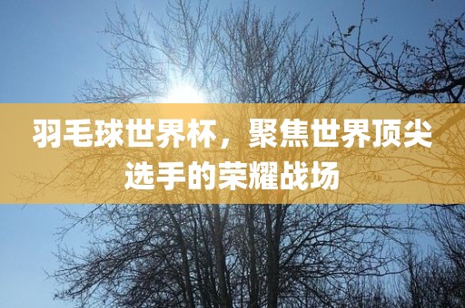 羽毛球世界杯，聚焦世界顶尖选手的荣耀战场