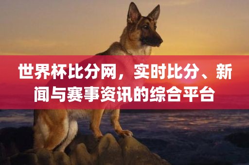 世界杯比分网，实时比分、新闻与赛事资讯的综合平台