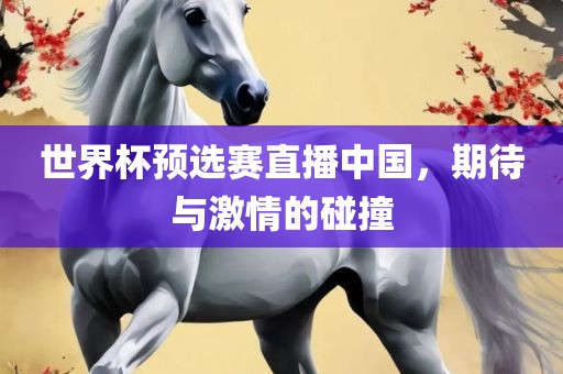 世界杯预选赛直播中国，期待与激情的碰撞