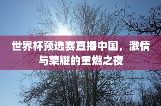 世界杯预选赛直播中国，激情与荣耀的重燃之夜
