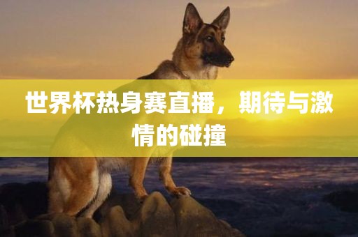 世界杯热身赛直播，期待与激情的碰撞