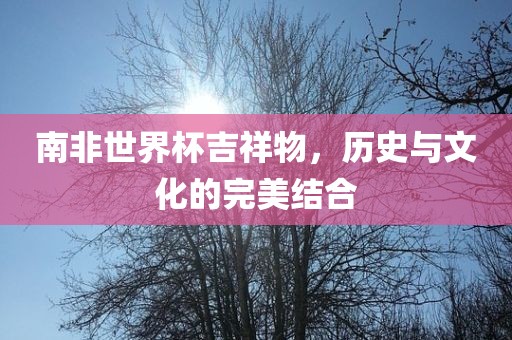 南非世界杯吉祥物，历史与文化的完美结合