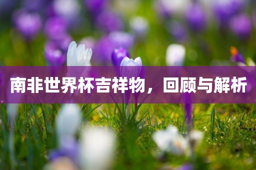 南非世界杯吉祥物，回顾与解析