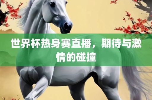 世界杯热身赛直播，期待与激情的碰撞
