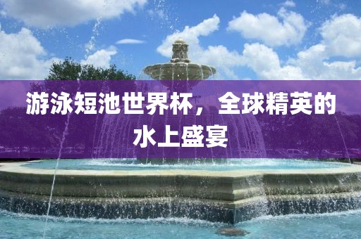 游泳短池世界杯，全球精英的水洛阳市法福文化传播有限公司上盛宴