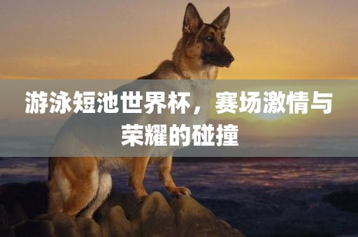 游泳短池世界杯，赛场激情与荣耀的碰撞