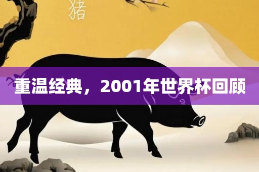 重温经典，2001年世界杯回顾