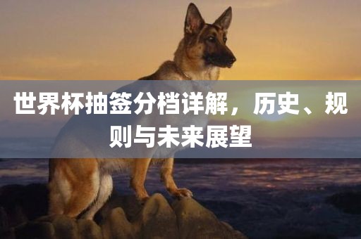世界杯抽签分档详解，历史、规则与未来展望