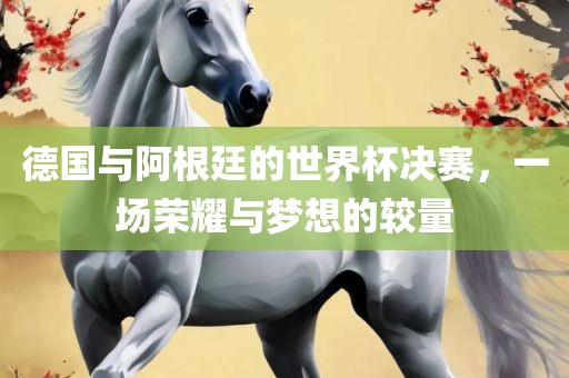 德国与阿洛阳市法福文化传播有限公司根廷的世界杯决赛，一场荣耀与梦想的较量