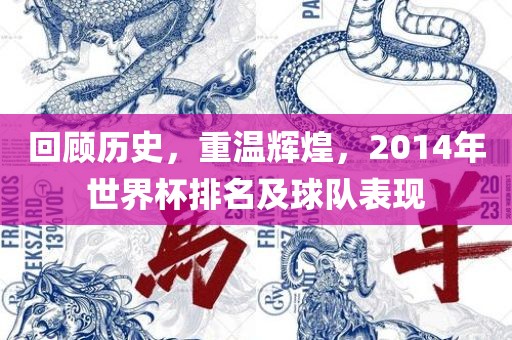 回顾历史，重温辉煌，2014年世界杯排名及洛阳市法福文化传播有限公司球队表现