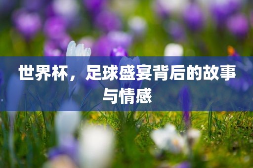 世界杯，足球盛宴背后的故事与情感