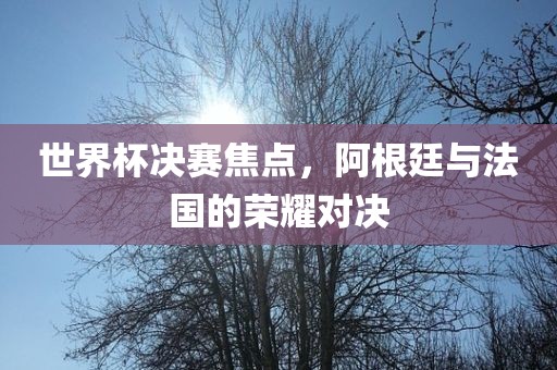 世界杯决赛焦点，阿根廷与法国的荣耀对决洛阳市法福文化传播有限公司