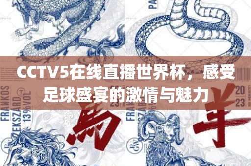 CCTV5在线直播世界杯，感受足球盛宴的激情与魅力