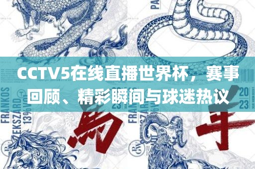 CCTV5在线直播世界杯，赛事回顾、精彩瞬间与球迷热议