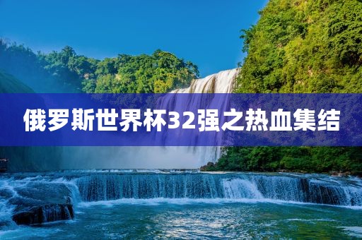 俄罗斯世界杯32强之热血集结