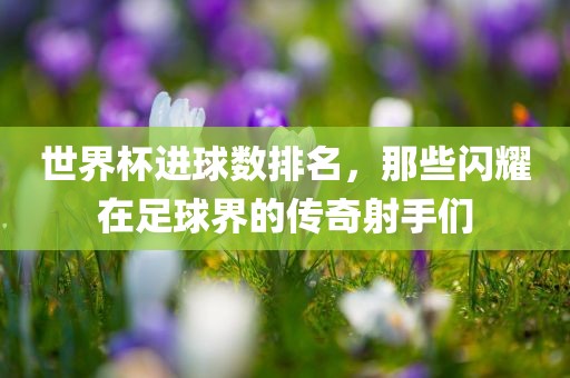 世界杯进球数排名，那些闪耀在足球界的传奇射手们
