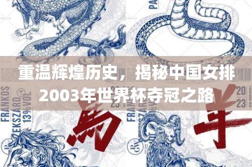 重温辉煌历史，揭秘中国女排2003年世界杯夺冠之路