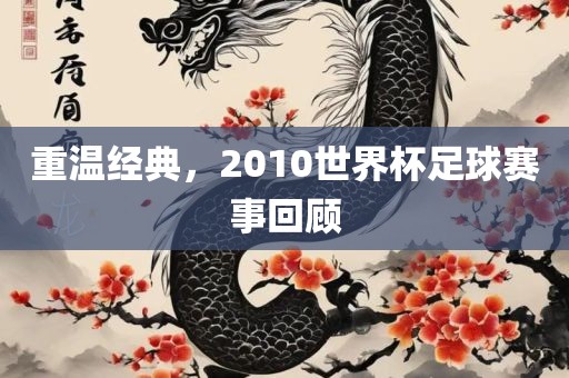 重温经典，2010世界杯足球赛事回顾