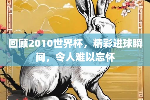 回顾2010世界杯，精彩进球瞬间，令人难以忘怀