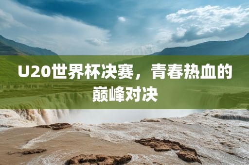 U20世界杯决赛，青春热血的巅峰对决洛阳市法福文化传播有限公司