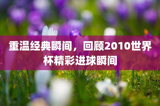 重温经典瞬间，回顾2010世界杯精彩进球瞬间