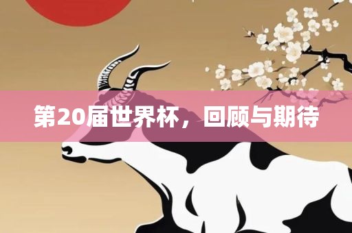 第20届世界杯，回顾与期待