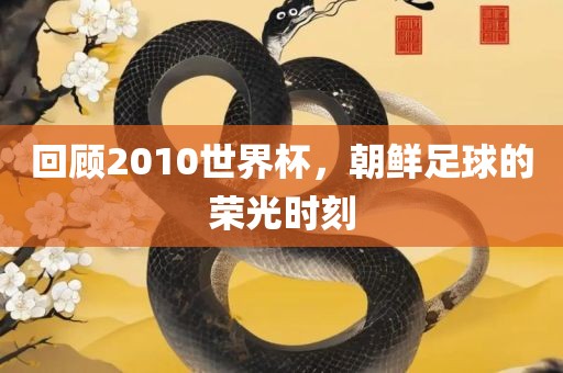 回顾2010世界杯，朝鲜足球的荣光时刻