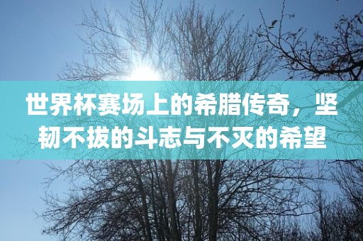世界杯赛场上的希腊传奇，坚韧不拔的斗志与不灭的希望洛阳市法福文化传播有限公司