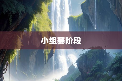 小组赛阶段