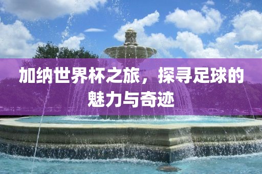 加纳世界杯之旅，探寻足球的魅力与奇迹