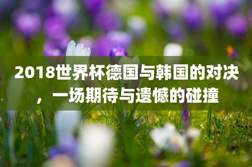 2018世界杯德国与韩国的对决，一场期待与遗憾的碰撞