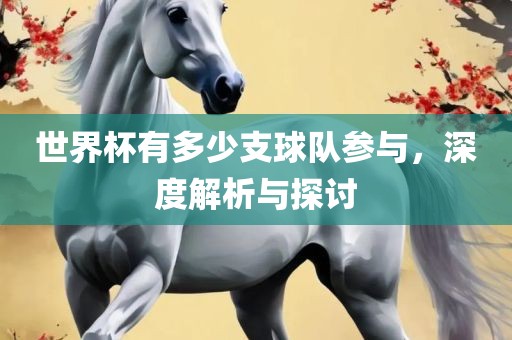 世界杯有多少支球队参与，深度解析与探讨洛阳市法福文化传播有限公司