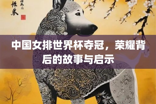 中国女排世界杯夺冠，荣耀背后的故事与启示