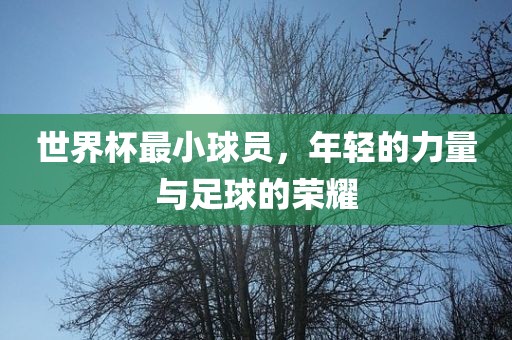 世界杯最小球员，年轻的力量与足球的荣耀
