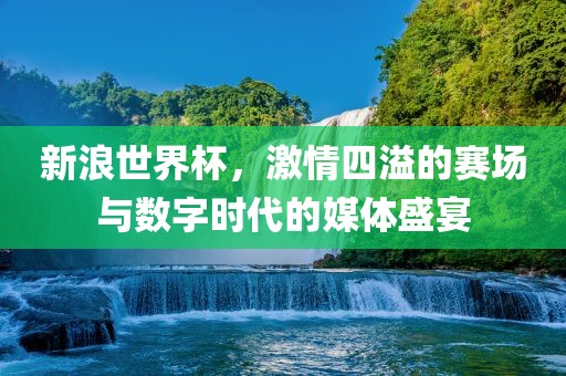 新浪世界杯，激情四溢的赛场与数字时代的媒体盛宴洛阳市法福文化传播有限公司