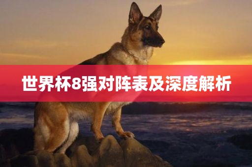世界杯8强对阵表及深度解析