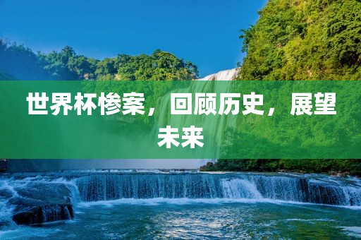 世界杯惨案，回顾历史，展望未来