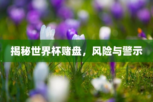 揭秘世界杯赌盘，风险与警示