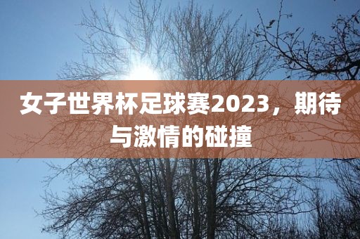 女子世界杯足球赛2023，期待与激情的碰撞