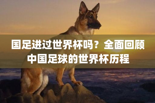 国足进过世界杯吗？全面回顾中国足球的世界杯历程