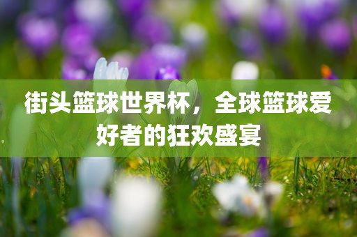 街头篮球世界杯，全球篮球爱好者的狂欢盛宴