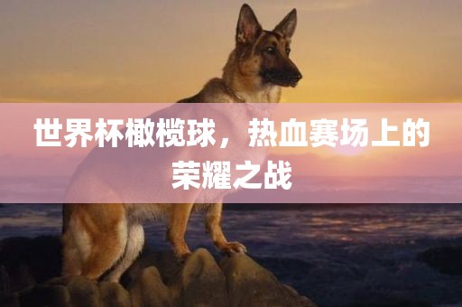 世界杯橄榄球，热血赛场上的荣耀之战