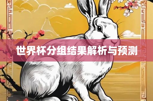 世界杯分组结果解析与预测
