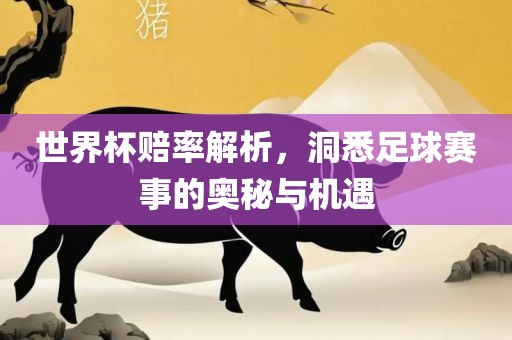 xuyuhai 第3页