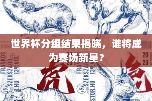 世界杯分组结果揭晓，谁将成为赛场新星？