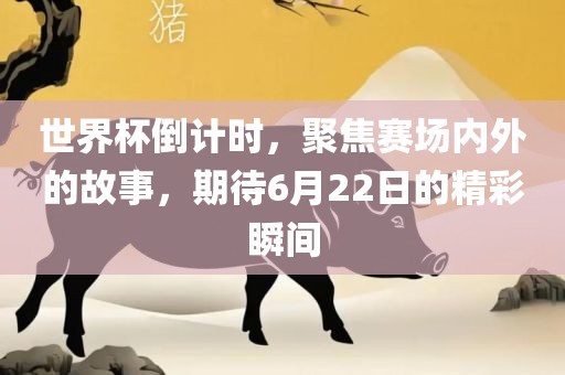 世界杯倒计时，聚焦赛场内外的故事，期待6月22日的精彩瞬间