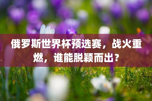 俄罗斯世界杯预选赛，战火重燃，谁能脱颖而出？